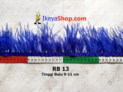 RB 13  large2